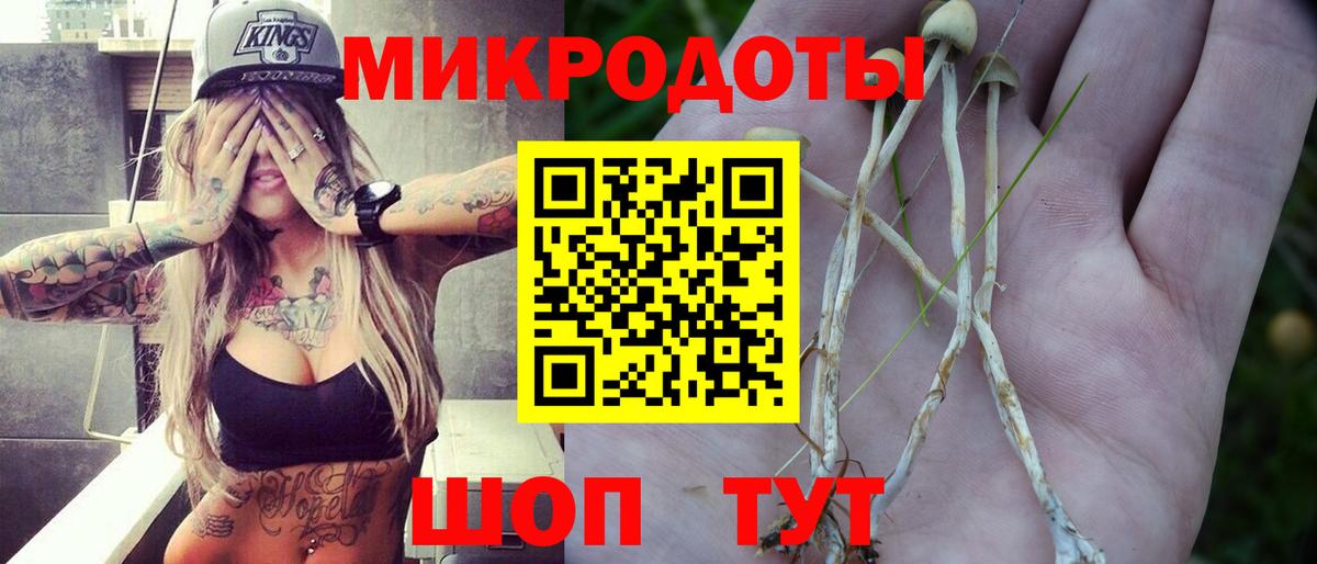 Псилоцибиновые грибы Cubensis Сорочинск