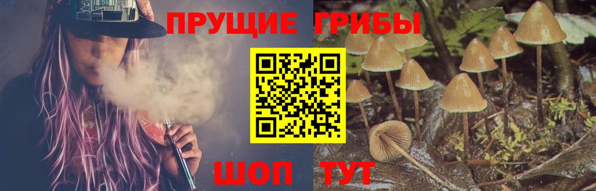 Сорочинск  Псилоцибиновые грибы Psilocybe  где купить наркоту  Вход с VPN 